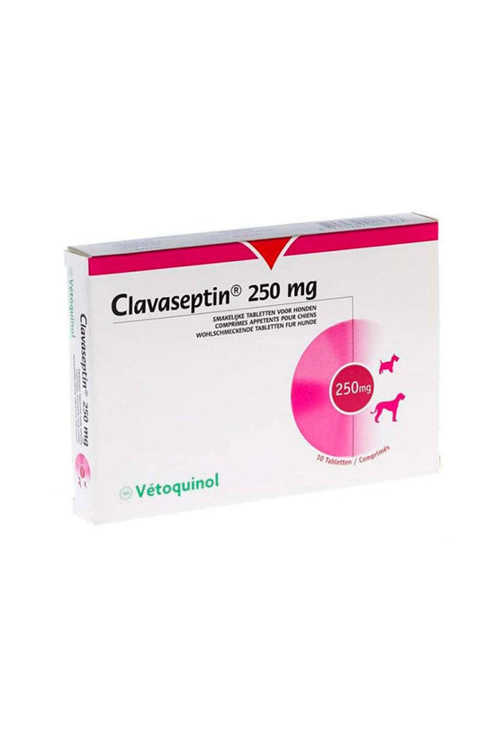 Ventoquinol clavaseptin 250 mg x 10 comp - medicamento - gato y perro