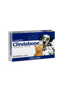  Drag pharma clindabone 165 mg x 20 comp - medicamento - gato y perro