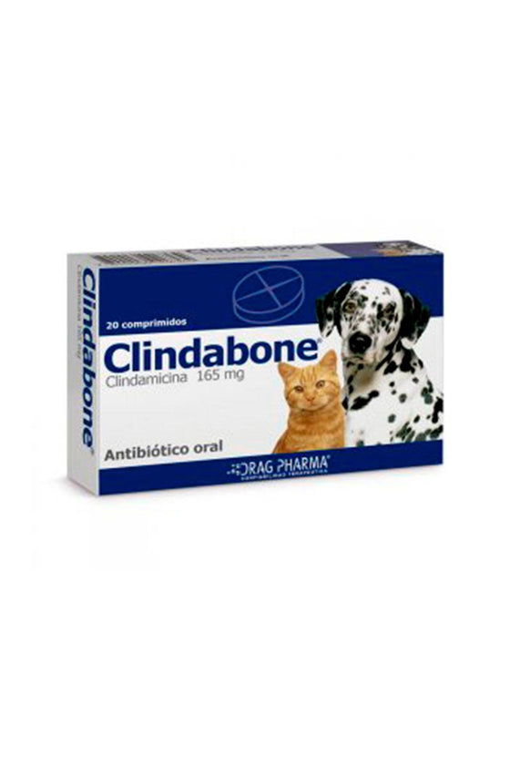 Drag pharma clindabone 165 mg x 20 comp - medicamento - gato y perro