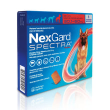  Nexgard Spectra 30,1 kg - 60kg - Antiparasitario - Perro - 1 Comprimido