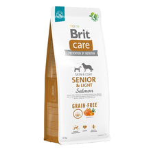  Brit Care Perro Senior & light Salmon 3 kg